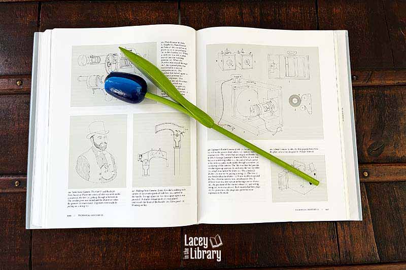 An illustrated photography book adorned with a flower on top, showcasing creativity and nature in a delightful composition.