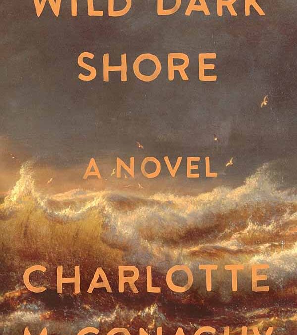 Book Review: Wild Dark Shore by Charlotte McConaughy