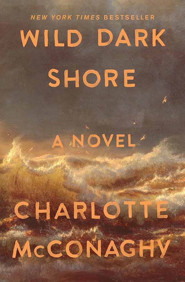 Book Review: Wild Dark Shore by Charlotte McConaughy