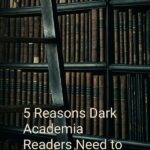 Dark academic shelves with a black library ladder