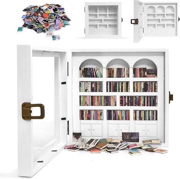 Mini Bookshelf Anxiety Toy