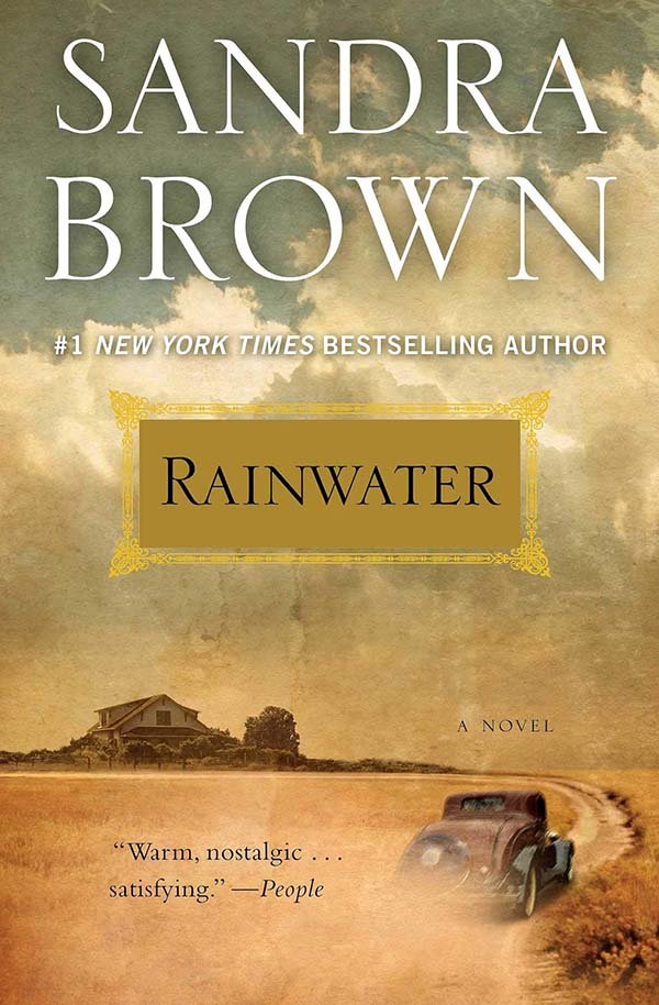 Rainwater Book Review: A Quiet Historical Romance Set in Depression-Era Texas