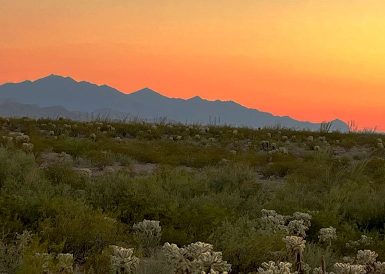 Arizona Sunset
